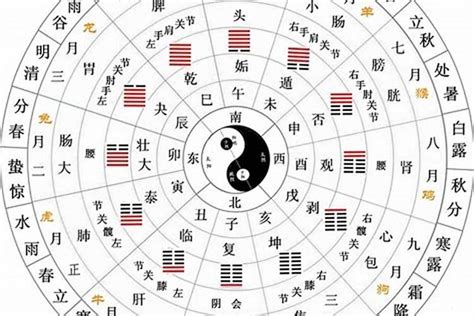 天干地支五行|干支对照表